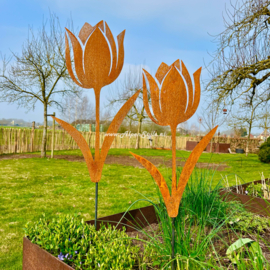Tulp tuinsteker 55 x 32 cm. ©AlpenStyle,  cortenstaal