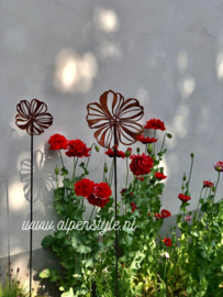 Cosmea bloem gebogen, tuinsteker. 29 x 120 cm. Roest Metaal Decoratie