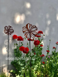 Cosmea bloem gebogen, tuinsteker. 21 x 120 cm. Roest Metaal Decoratie