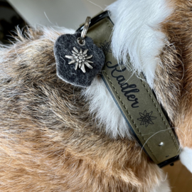 Halsband hond gepersonaliseerd Maat XL Groen