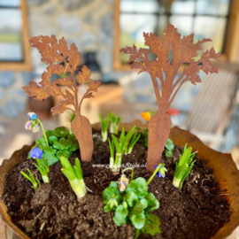 wortels (set van 2) Hoogte 28 cm. Roest metaal tuin decoratie