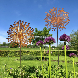 Allium bloem (XXL) tuinsteker 140 x 40 cm. Roest metaal decoratie