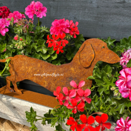 Huisdieren Roest Metaal Tuin Decoratie