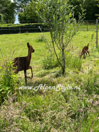 Ree familie (groot) 5 delig, Roest metaal tuin decoratie