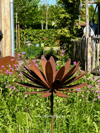 Chrysant tuinsteker 135 x 32 cm, Roest metaal tuindecoratie