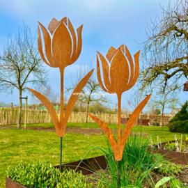 Tulp tuinsteker 55 x 32 cm. ©AlpenStyle,  cortenstaal