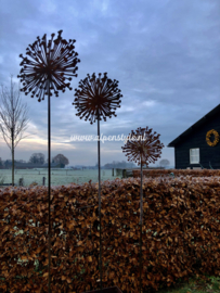 Allium bloem (XXL) tuinsteker 140 x 40 cm. Roest metaal decoratie