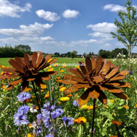 Goudsbloem (Calendula) tuinsteker XL, 32 x 130 cm, Roest Metaal Decoratie