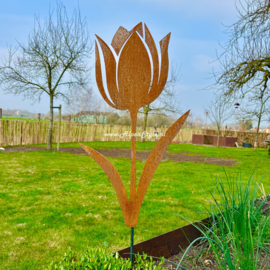 Tulp tuinsteker 45 x 27 cm. ©AlpenStyle,  cortenstaal