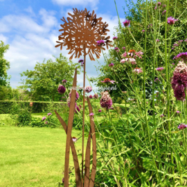 Agapanthus tuinsteker met blad XL. 137 x 32 cm. Roest Metaal Decoratie