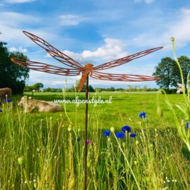 Libelle tuinsteker met open vleugels, 120 x 50 cm. Roest Metaal Decoratie