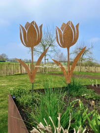 Tulp tuinsteker 55 x 32 cm. ©AlpenStyle,  cortenstaal