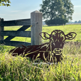 Koe "Isabell" liggend 120 x 68 cm. Cortenstaal ©AlpenStyle