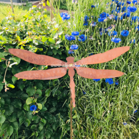 Libelle tuinsteker, 120 x 40 cm. Roest Metaal Decoratie