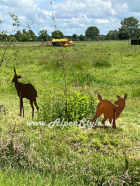 Ree familie (groot) 5 delig, Roest metaal tuin decoratie