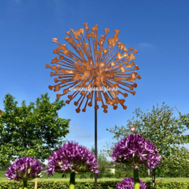 Allium bloem (XXL) tuinsteker 140 x 40 cm. Roest metaal decoratie