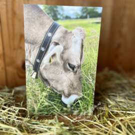 Wenskaart "3 Edelweiß, AlpenStyle Gina"