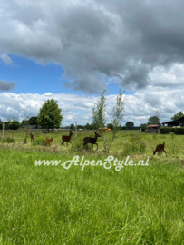 Ree familie (groot) 5 delig, Roest metaal tuin decoratie