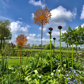 Allium bloem (XL) tuinsteker 120 x 30 cm. Roest metaal decoratie