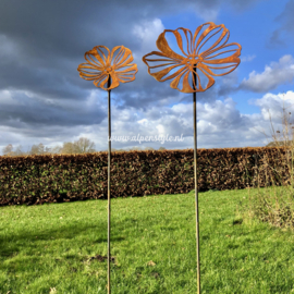 Cosmea bloem gebogen, tuinsteker. 21 x 120 cm. Roest Metaal Decoratie