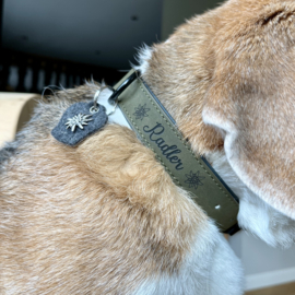 Halsband hond gepersonaliseerd Maat L Cognac