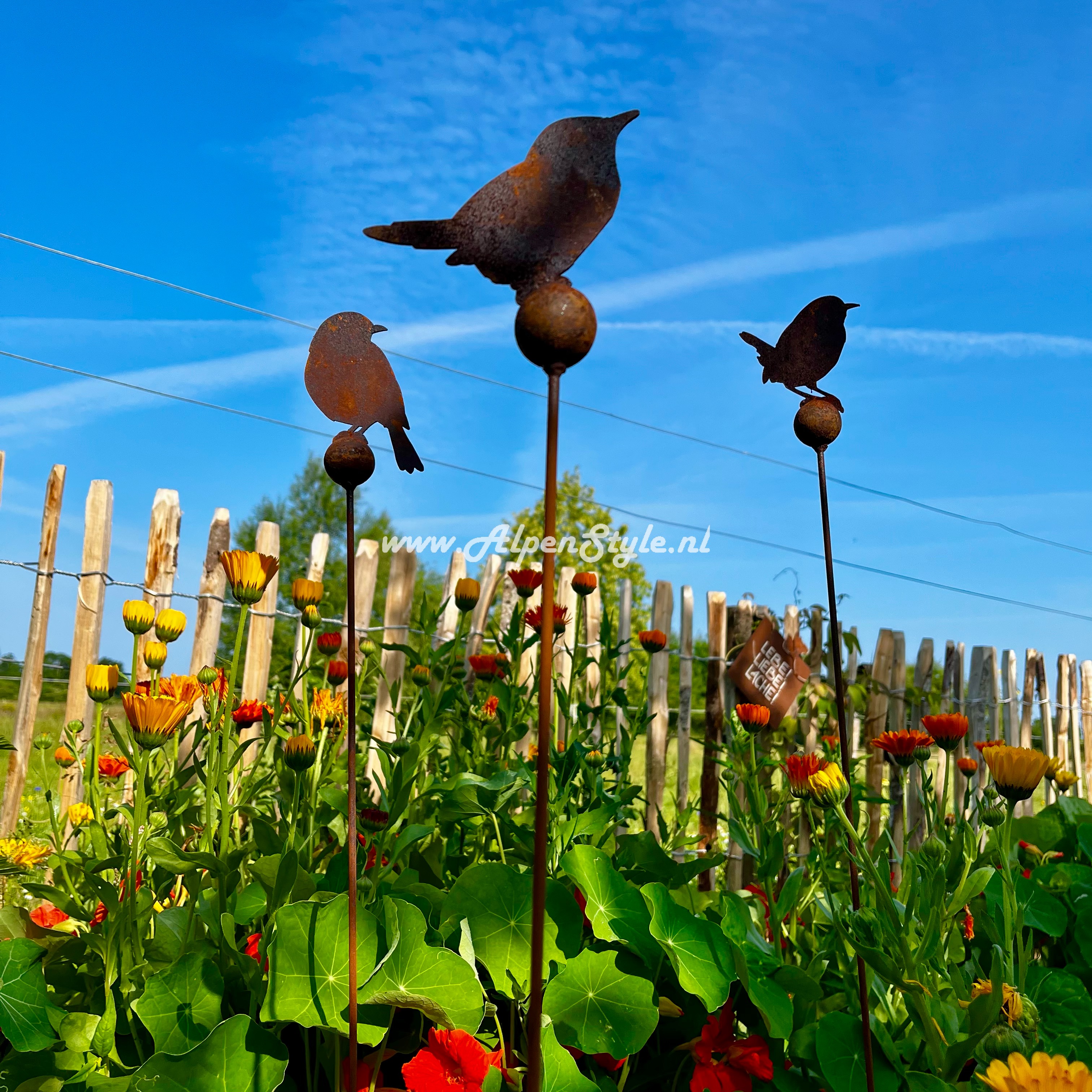 Vogels op wiebelstaaf met gewichtsbol (set van 3!) 115 x 8 cm, Roest metaal tuindecoratie