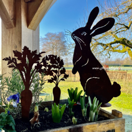 wortels (set van 2) Hoogte 28 cm. Roest metaal tuin decoratie