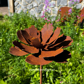 Pioenroos tuinsteker 18 x 127 cm. Roest metaal tuin decoratie