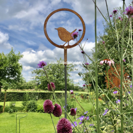 Vogel in ring, Winterkoninkje tuinsteker. ⌀ 18 cm, hoogte 138 cm. Roest Metaal Decoratie