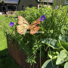 Vlinder op tuinsteker (Dagpauwoog) 25 x 30 x 124 cm. Roest Metaal Decoratie