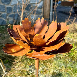 Pioenroos tuinsteker 18 x 127 cm. Roest metaal tuin decoratie