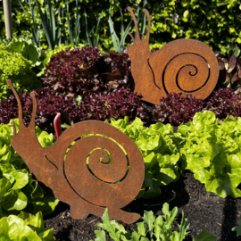 Wijnbergslak met steker, 25 x 24 cm, roest metaal tuin decoratie