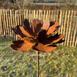 Pioenroos tuinsteker 18 x 127 cm. Roest metaal tuin decoratie