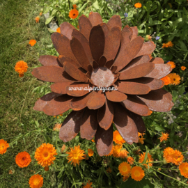 Goudsbloem (Calendula) tuinsteker L, 25 x 130 cm, Roest Metaal Decoratie