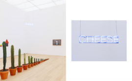 Catalogue Martin Creed – SAY CHEESE!