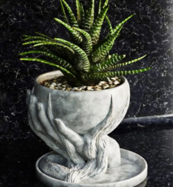 Bloempot