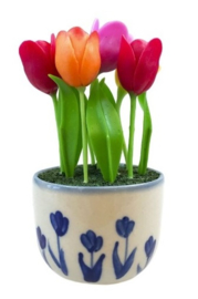 Tulpen in een pot