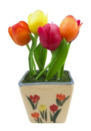 Potje tulpen