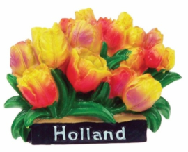 Tulpen bos