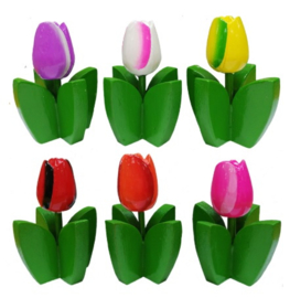 Houten tulpen