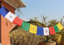 5 small rolls of cotton Tibetan prayer flags