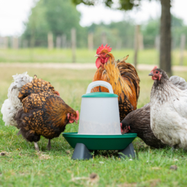 Voersilo met verstelbare feeder 3kg groen