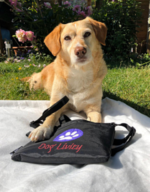 Multifunctional DOG TREAT BAG
