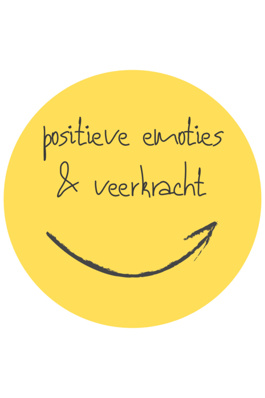 De positieve school module 2: Positieve emoties & veerkracht (3 uren)