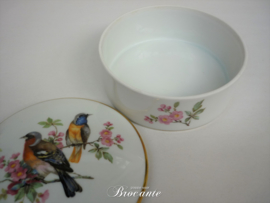 Vintage porseleinen juwelendoosje met vogeltjes decor - Bavaria (Duitsland)