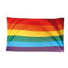 Regenboogvlag [20x30cm]