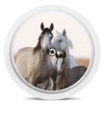 Freestyle Libre Sensor Sticker - Horses
