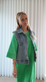 Pia velvet dress fel groen