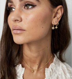 Oorbellen ster met steentjes goud/wit