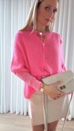 Brixe truitje roze